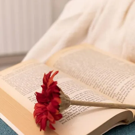 Apartment At The Heart Of - Guggenheim *